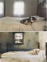 TheMastersBed 